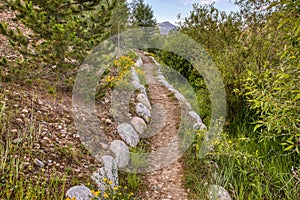 A rock and flower lined trail leads the way to the mountains