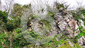 Rock folding in Fresnay-sur-Sarthe region of the Alpes Mancelles