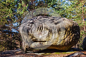 Rock in Fontainebleau Forest
