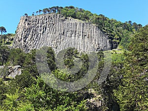 Rock in forest in Argentina