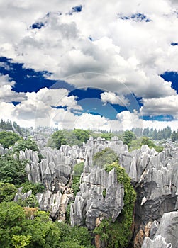 Rock forest near Kunming city