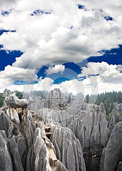 Rock forest near Kunming city