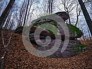 Rock in the forest overgrown with moss and fallen dry leaves in autumn, Hradok pod Vtacnikom, Slovakia