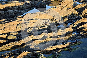 Rock formation along the coastline near Shaw Cove in Laguna Beach, California.