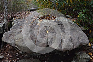 The rock formation appears to be a stone hand with fingers outstretched