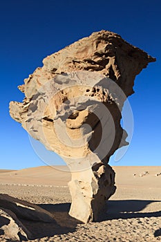 Rock formation Arbol de Piedra photo