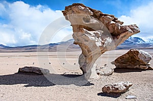 Rock formation (Arbol de Piedra) in Bolivia photo