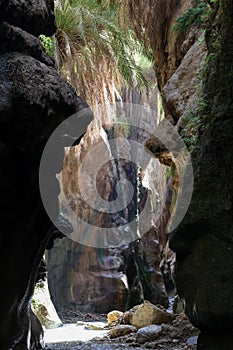 Rock formation in beautiful rain forest canyon trail