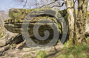 Rock formation at Brimham Rocks, North Yorkshire, England, UK.