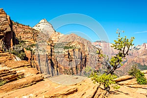 Rock Formation at the Canyon Overlook Trail in Zion N.P.