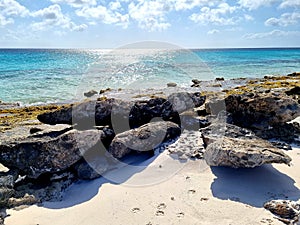 Rock formation in Caribian on a sea shore with beatiful beach photo