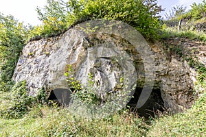 Rock formation with cave entrances surrounded by lush wild vegetation