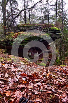 Rock formation and dead leaves in the woods