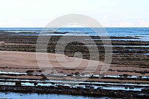 Rock formation dubbed as Devil\'s washboard in Aoshima, Miyazaki photo