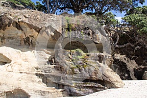 Rock formation at Homunga Bay, Waikato region, New Zealand