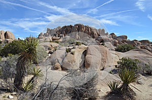 Rock formation in Joshua Tree National Park, CA