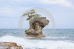 Rock formation at Manzanillo Costa Rica