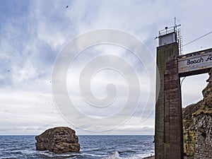Rock formation at Marsden, South Shields, Tyne and Wear, UK with copy space and circling birds which colonise the rock and lift to