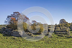 Rock formation in the Monti Lessini