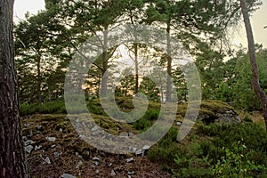 Rock formation with moss in Ermenonville forest, oise