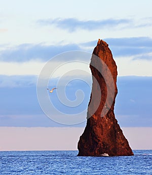 Rock formation in the ocean, in The Black-Sand Beach of Reynisfjara area at sunset.