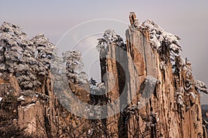 Rock Formation and Pine Trees at Shixin Peak, Huangshan or The Yellow Mountain,Anhui,China