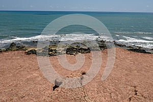 Rock formation of Praia do Amor near Pipa, Brazil