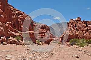 Rock formation. Quebrada de las Conchas.