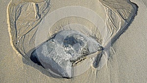 Rock formation in sand at Shaws Cove Beach. in Laguna Beach, California.