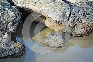 Rock formation on Shaws Cove Beach at lo tide in Laguna Beach, California.