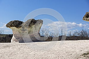 Rock formation The Stone Mushrooms near Beli plast village, Kardzhali Region, Bulgaria