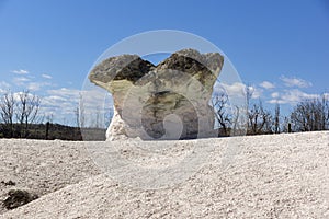 Rock formation The Stone Mushrooms near Beli plast village, Kardzhali Region, Bulgaria