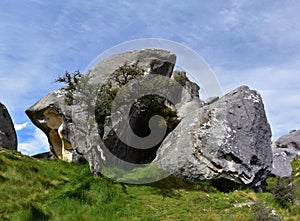 A rock formation with a tree in the foreground in the Kura Tawhiti area of Castle Hill in New Zealand