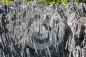 Rock formation in Tsingy de Bemaraha N.P.