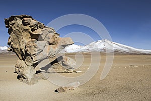 Rock formation in Uyuni, Bolivia known as Arbol de Piedra
