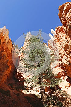 Rock formations in Bryce Canyon National Park, Utah