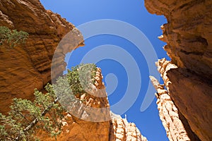 Rock formations in Bryce Canyon National Park, Utah