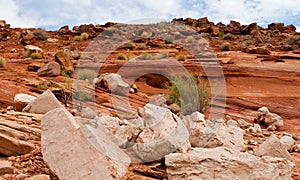 Rock Formations of the Desert Southwest