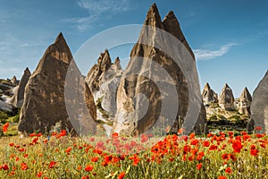 Rock formations and flowers of Cappadocia
