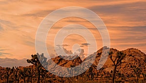 Rock Formations Glowing at Dusk at Joshua Tree National Park, California