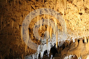 Rock formations in Harrisons cave