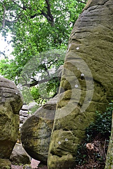 Rock formations at High Rocks, Tunbridge Wells, Kent, UK