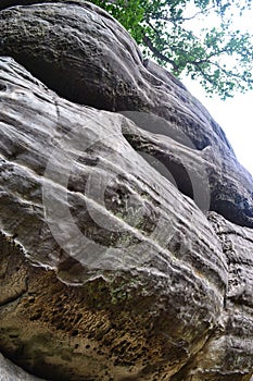 Rock formations at High Rocks, Tunbridge Wells, Kent, UK