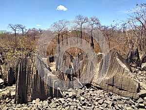 rock formations in the hinterland of Bahia, Brazil