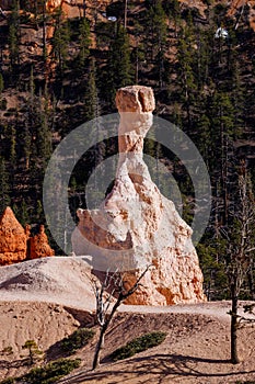 Rock formations and hoodoo’s from Queens Garden Trail