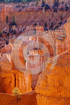 Rock formations and hoodoo’s from Queens Garden Trail