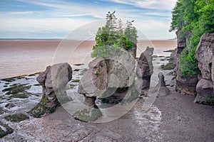 Rock Formations in Hopewell Rocks Park, New Brunswick