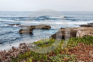 Rock formations and Iceplant in La Jolla, California