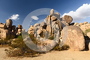 Rock formations at Joshua Tree National Park