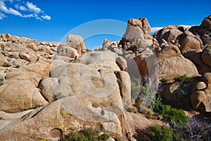 Rock formations in Joshua Tree National Park